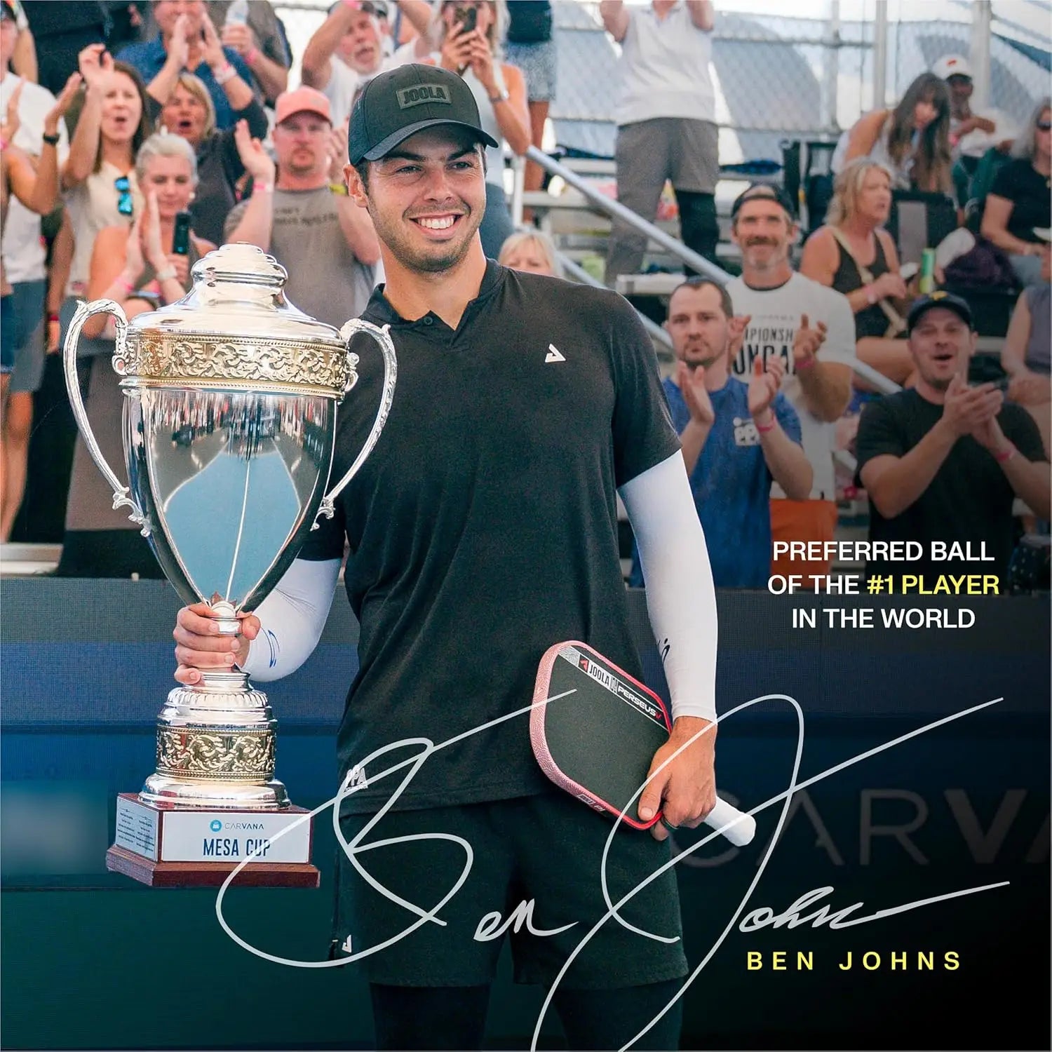 Hardcourt Pickleball Balls