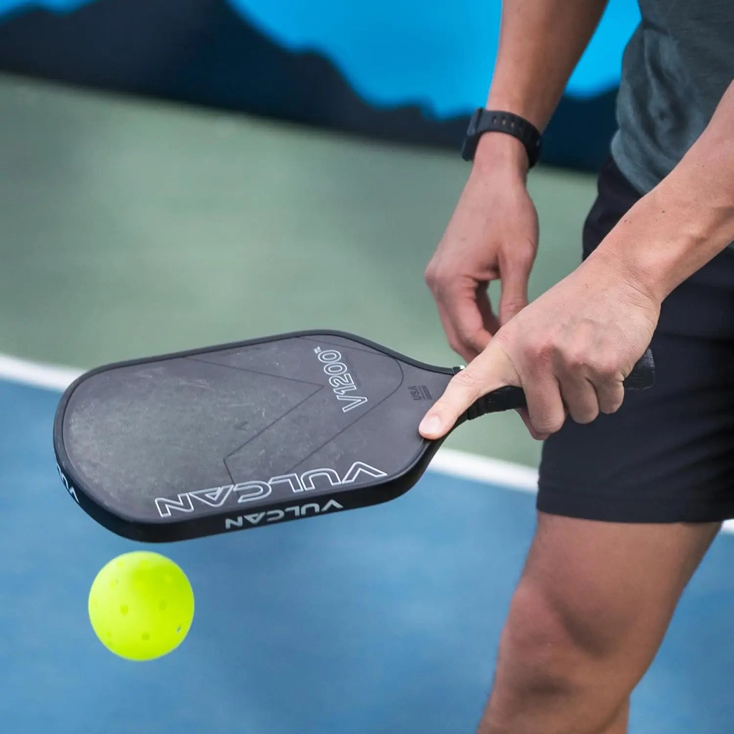 PPA Tour Pickleballs